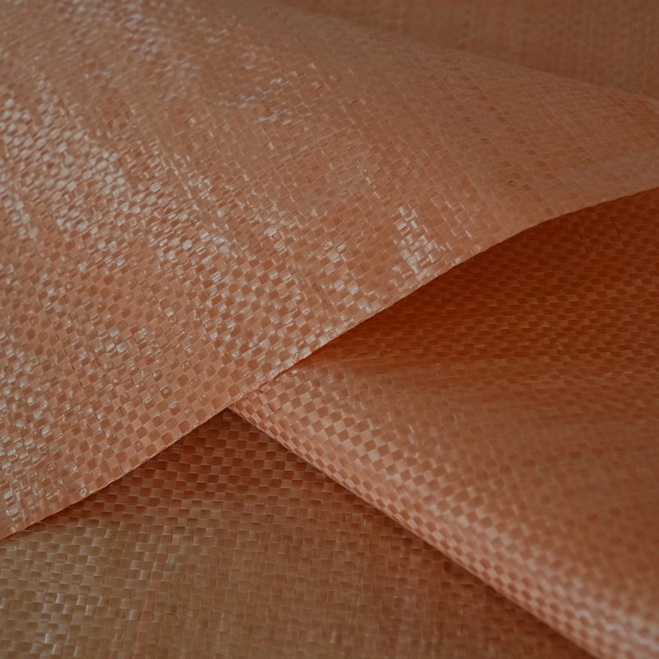 DSC00528
